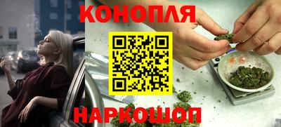 гашик Аргун