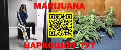 гашик Аргун