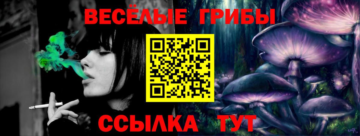 Белореченск  Галлюциногенные грибы Cubensis  Вход с VPN  Галлюциногенные грибы мицелий 